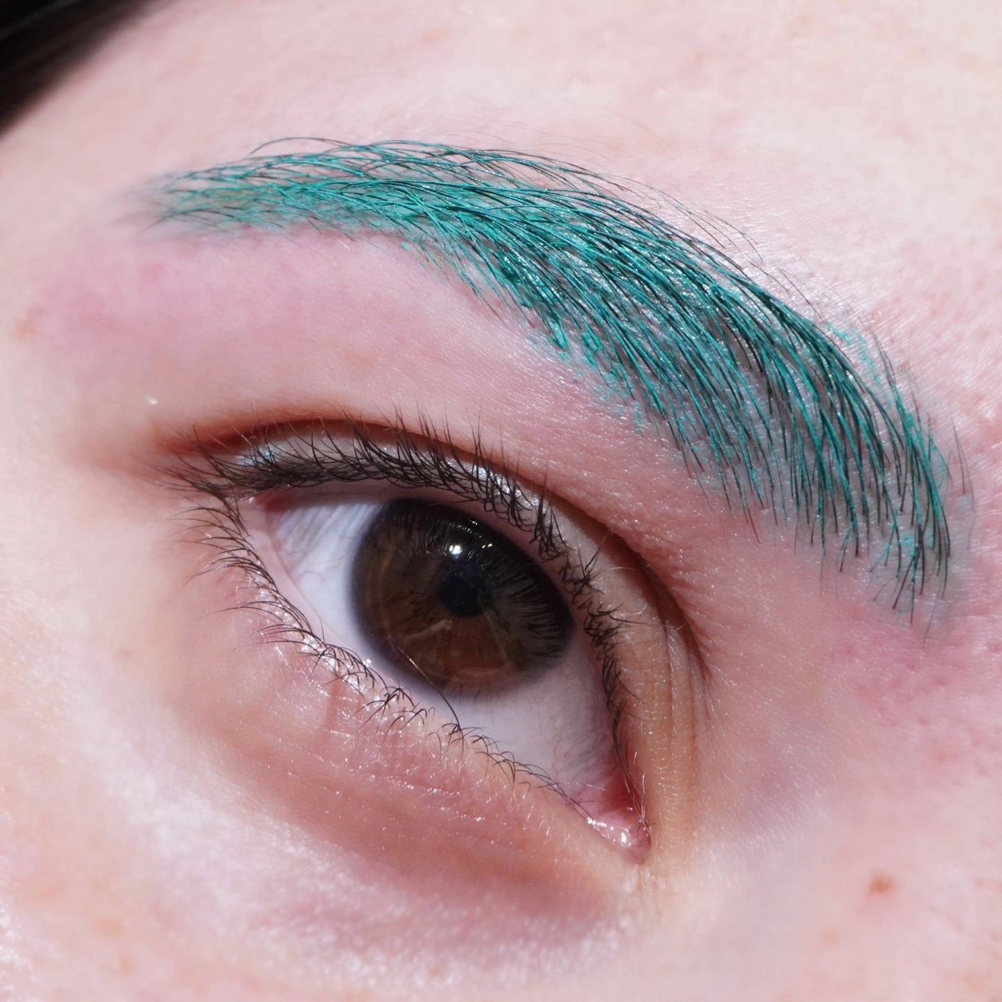 Aquamarine (Teal) Spectra Brow - Brow Cream - Glisten Cosmetics