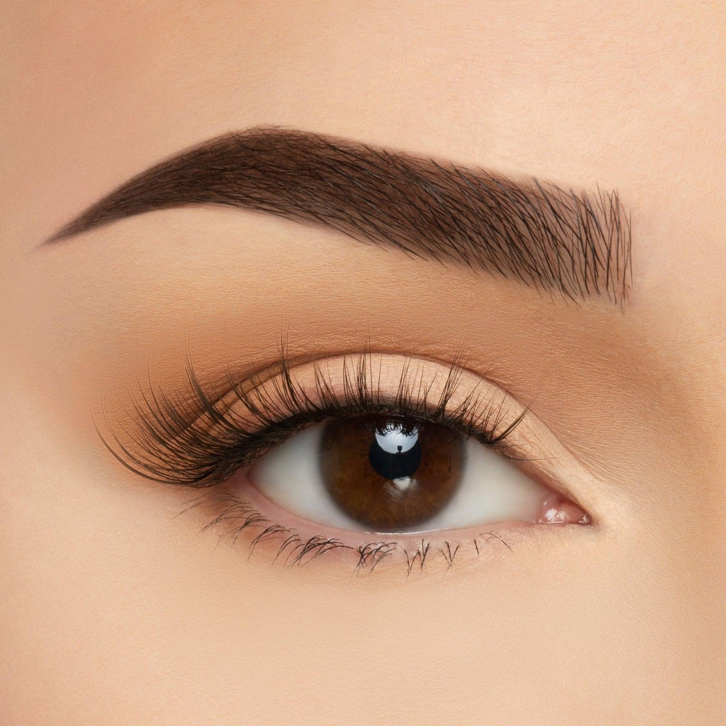 Soft Silk Lashes - 5pc Favorites Bundle