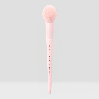 Complete Vegan Brush Collection Bundle