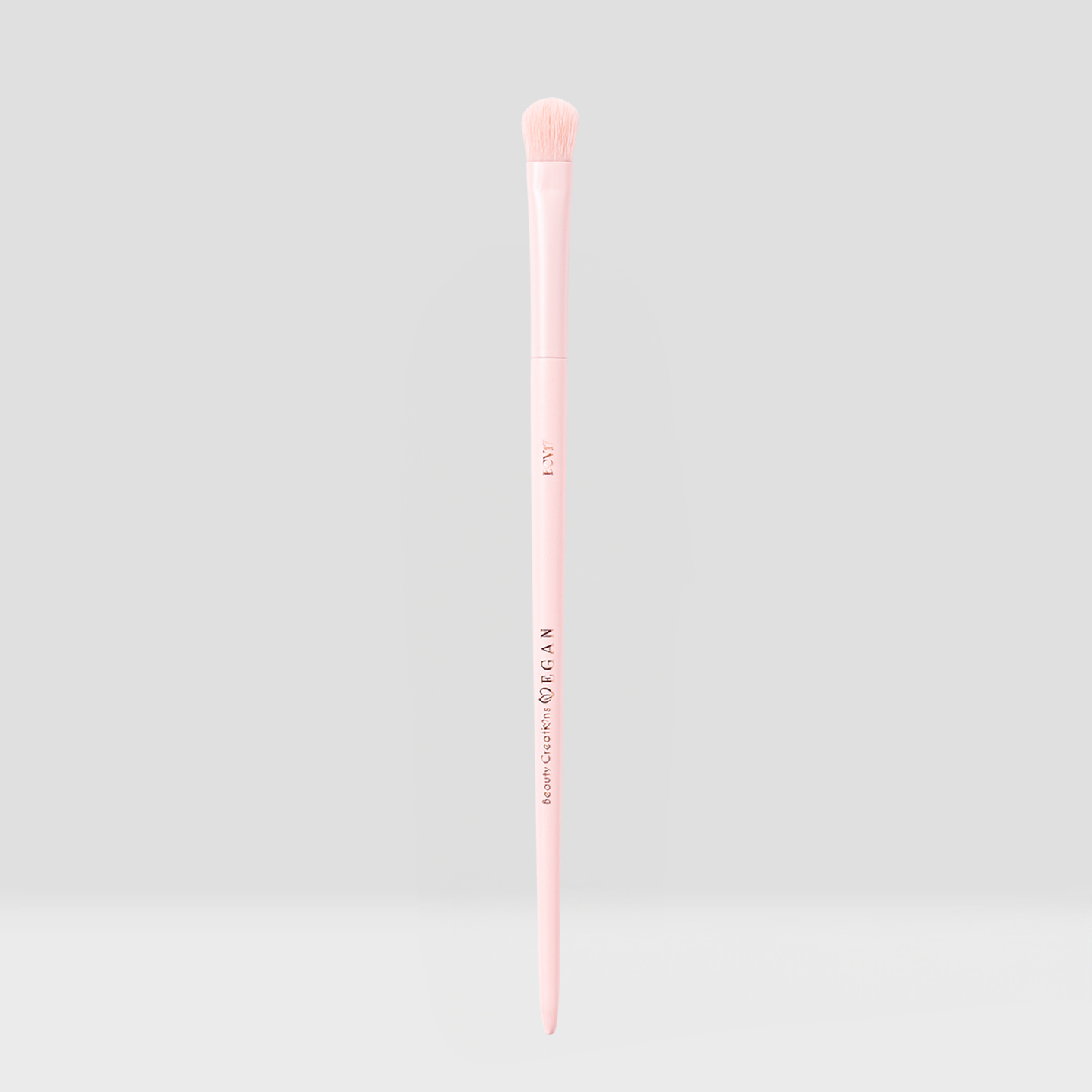 Vegan Brush Eye Bundle
