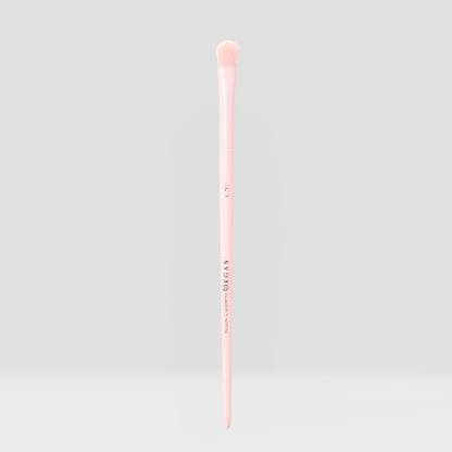 Vegan Brush Eye Bundle