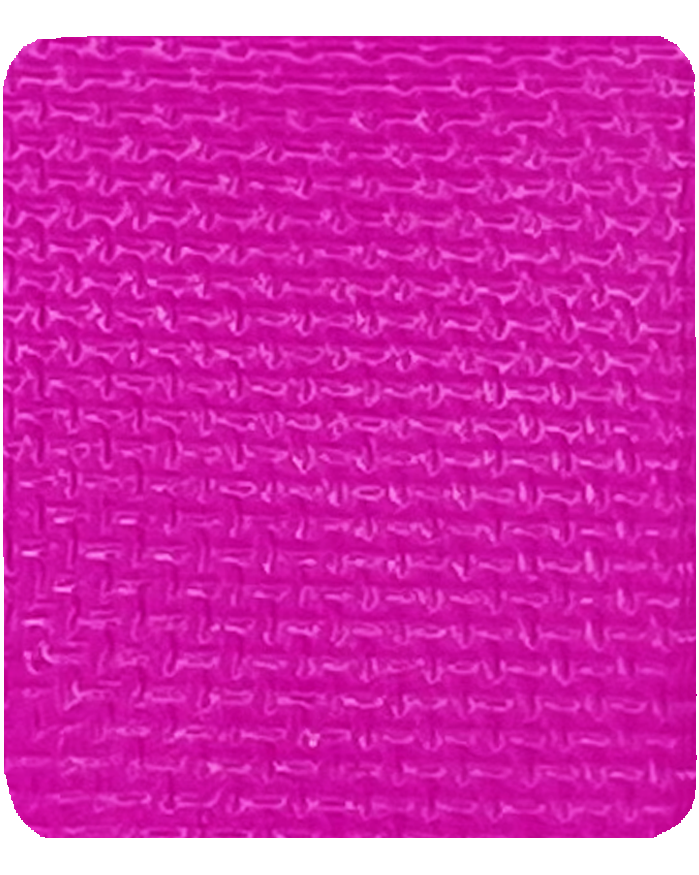 Gavissi Beauty - "PASSION FRUIT" SINGLE LINER PAN (UV)