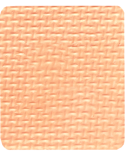 Gavissi Beauty - "PEACHES & CREAM" SINGLE LINER PAN (UV)