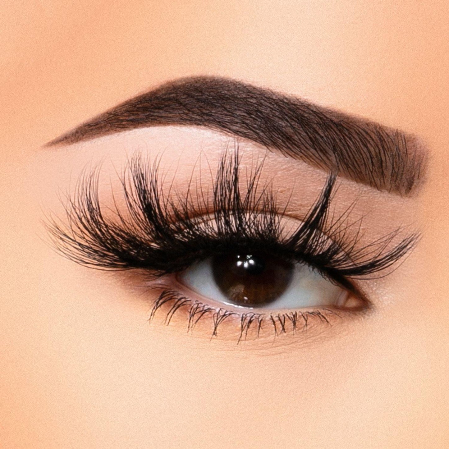35MM Faux Mink - Lash Collection