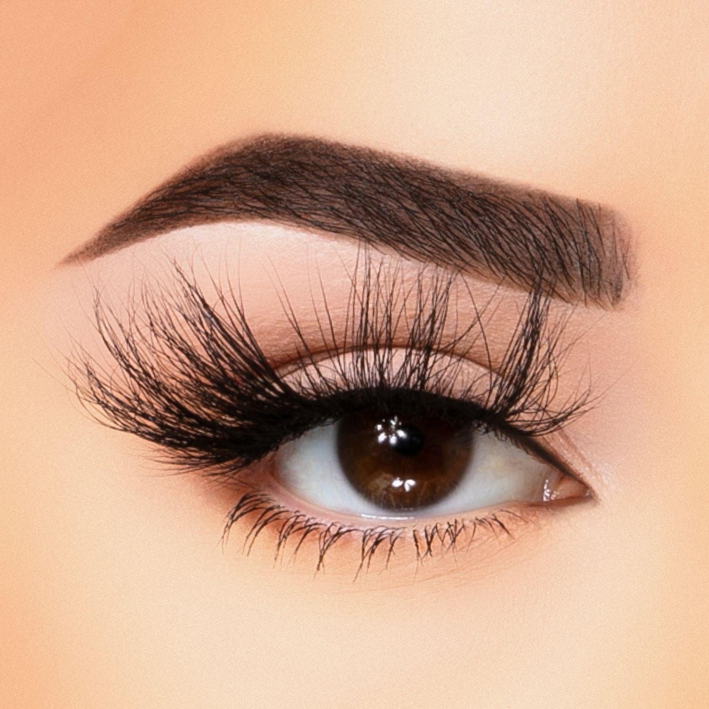 35MM Faux Mink - Lash Collection