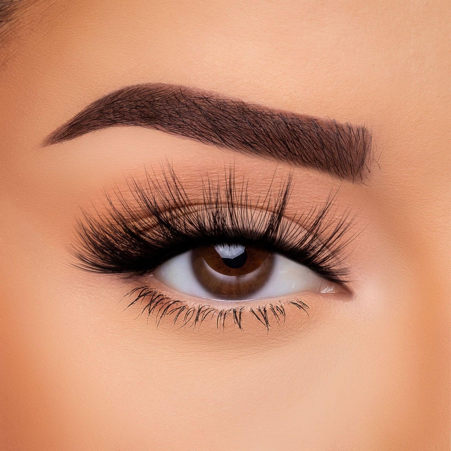 3D Silk Lash