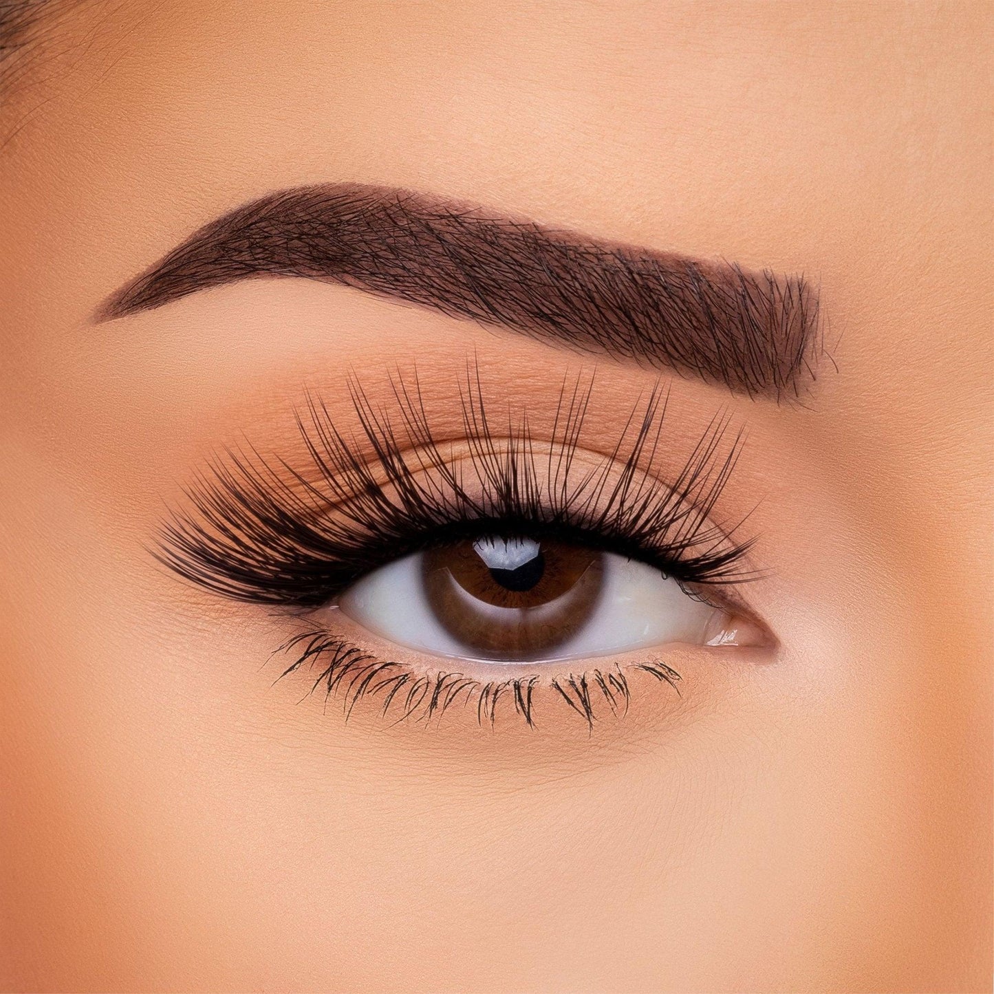 3D Silk Lash