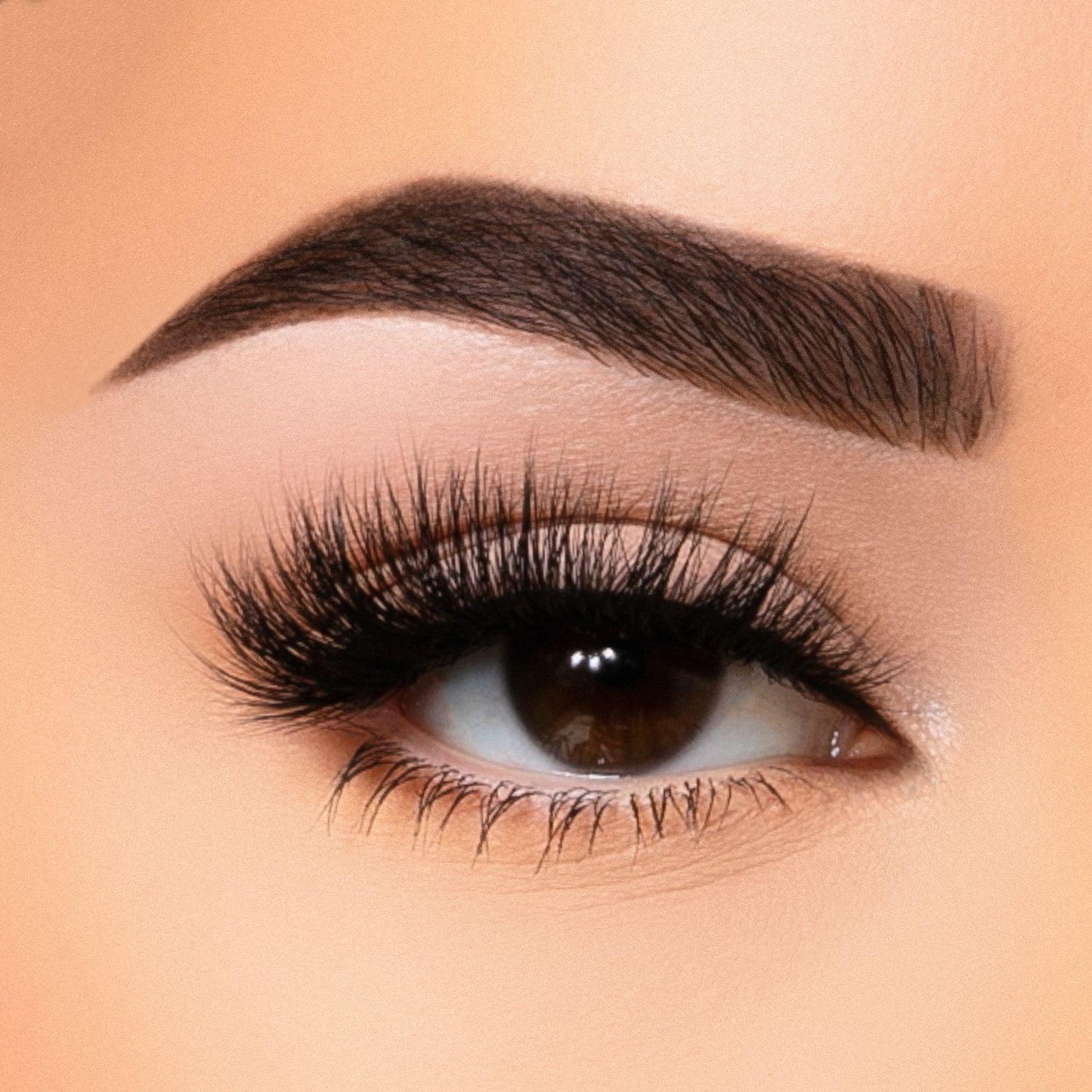 35MM Faux Mink - Lash Collection