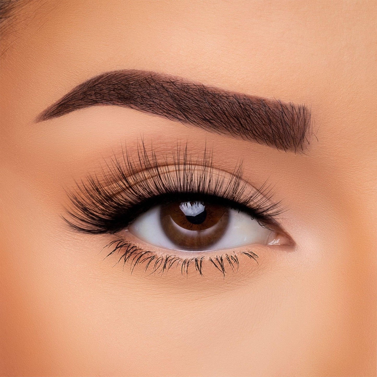 3D Silk Lash