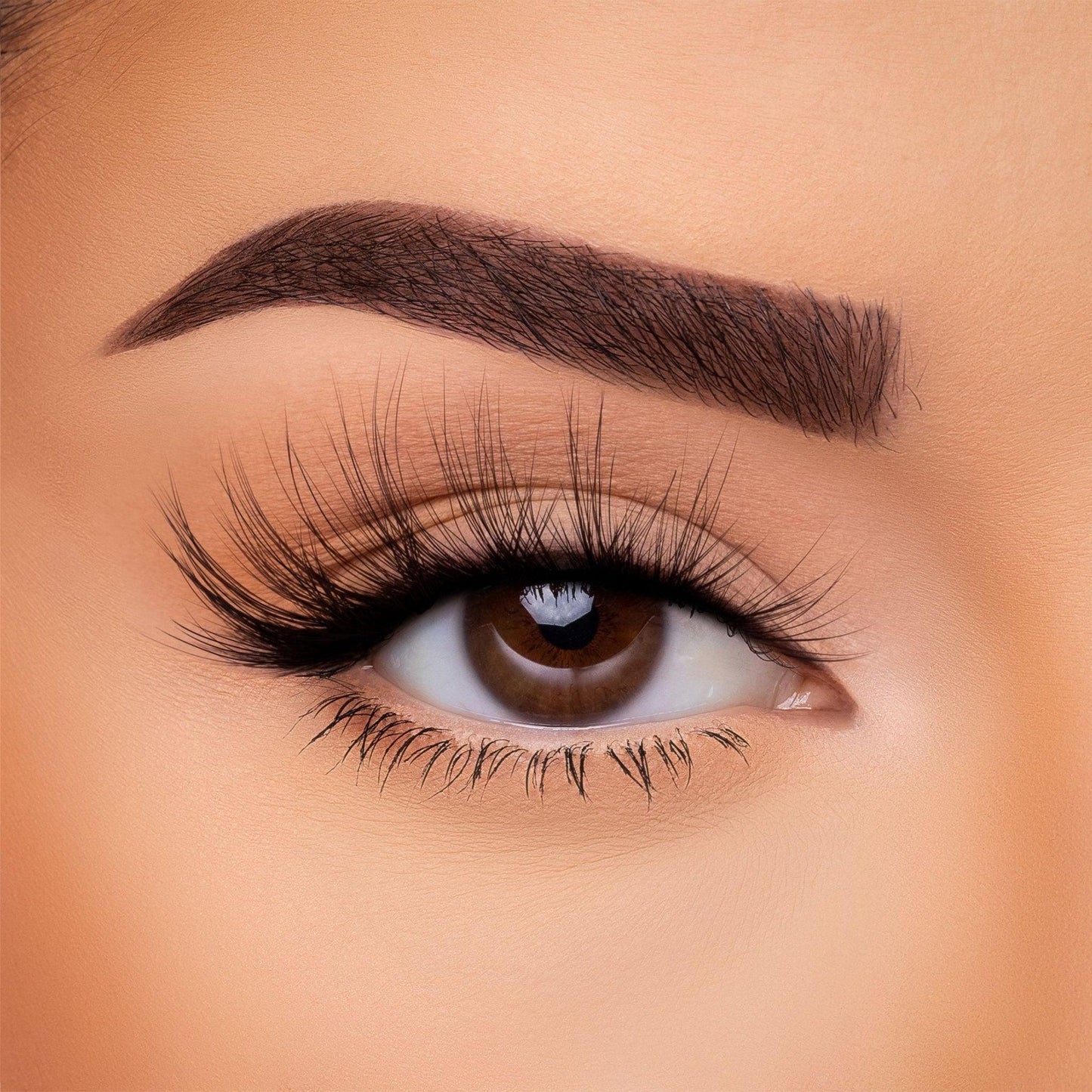 3D Silk Lash