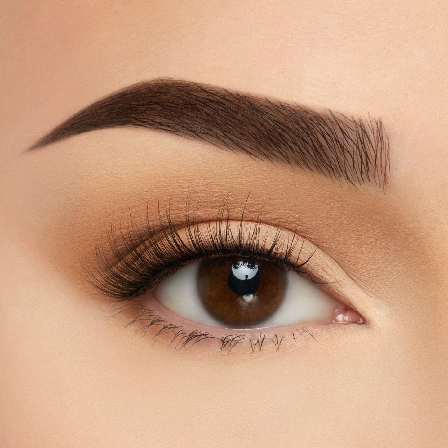 Soft Silk Lashes - 5pc Favorites Bundle
